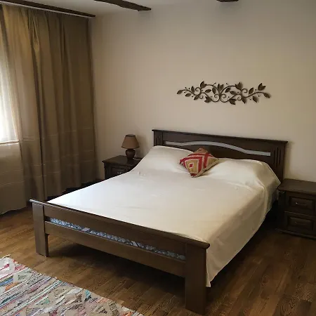 Ecolodge * Novoselitsa (Zakarpattia)