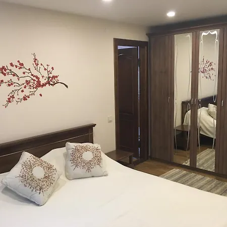 Ecolodge בית נופש Novoselitsa (Zakarpattia)