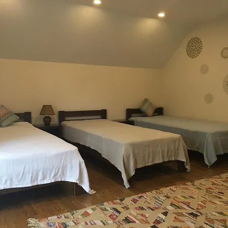 Ecolodge Novoselitsa (Zakarpattia)