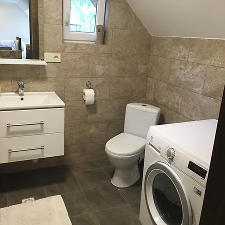 Ecolodge * Novoselitsa (Zakarpattia)