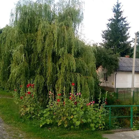 Ecolodge Novoselitsa (Zakarpattia)