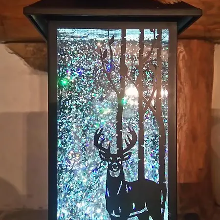 Ecolodge בית נופש *