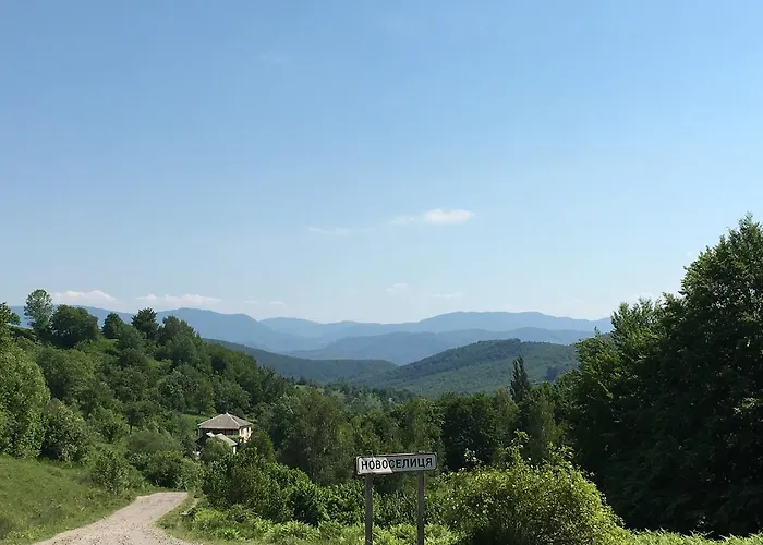 Ecolodge Novoselitsa (Zakarpattia)