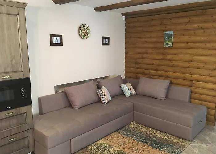 Дом отдыха Ecolodge Novoselitsa (Zakarpattia)