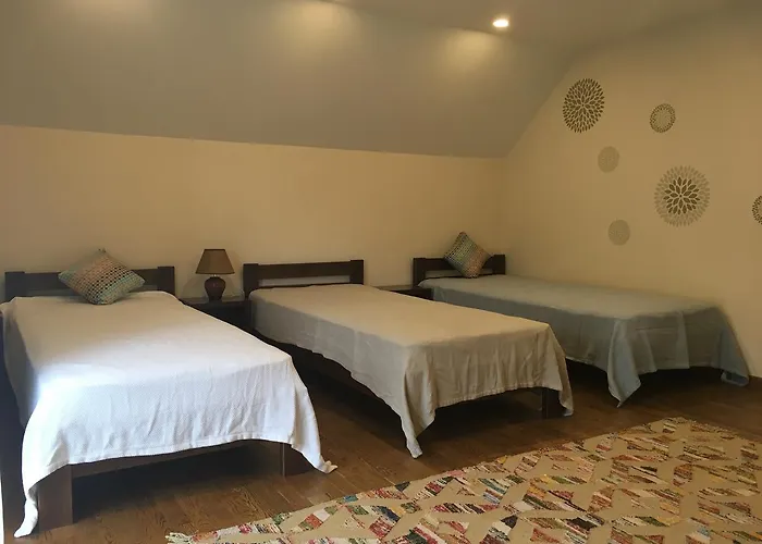 Ecolodge Novoselitsa (Zakarpattia)