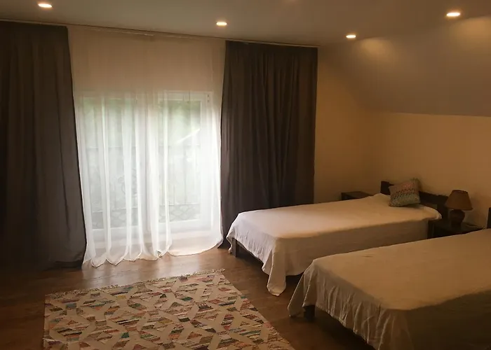 Ecolodge Novoselitsa (Zakarpattia)