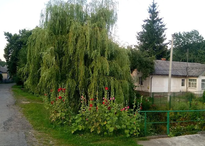 Ecolodge Novoselitsa (Zakarpattia)