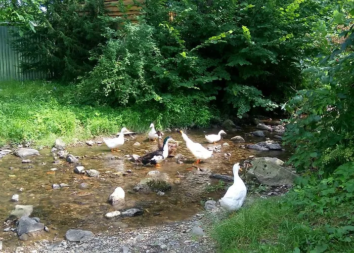 Ecolodge Дом отдыха