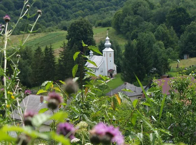 Ecolodge Дом отдыха Novoselitsa (Zakarpattia)