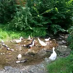 Ecolodge Feriehus