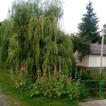 Ecolodge Novoselitsa (Zakarpattia)